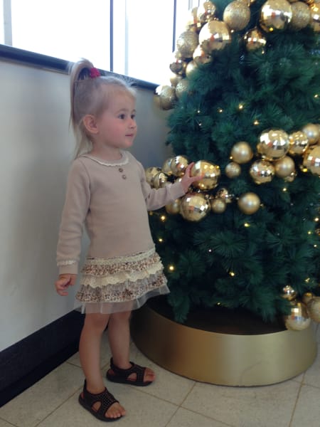 Вся Австралия с островами Фрейзер и Тасмания: 26 тыс км на авто (много фото)