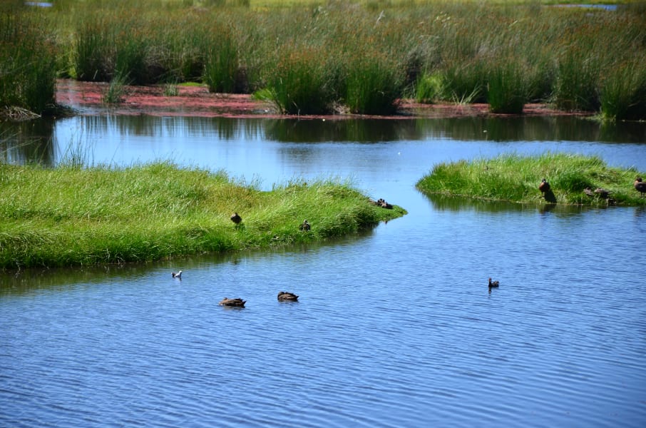 Вся Австралия с островами Фрейзер и Тасмания: 26 тыс км на авто (много фото)