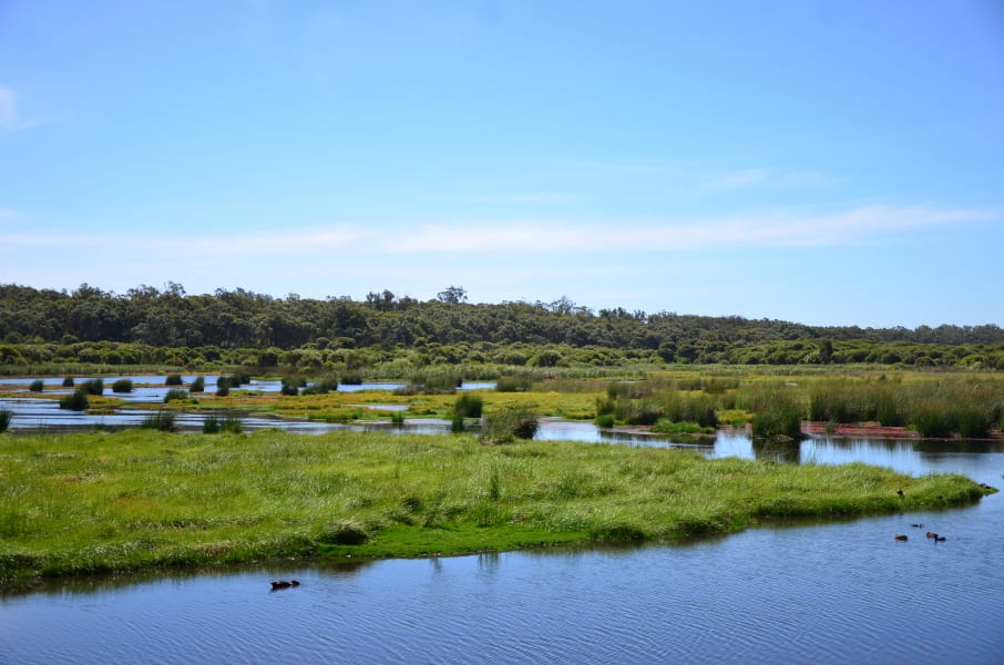 Вся Австралия с островами Фрейзер и Тасмания: 26 тыс км на авто (много фото)
