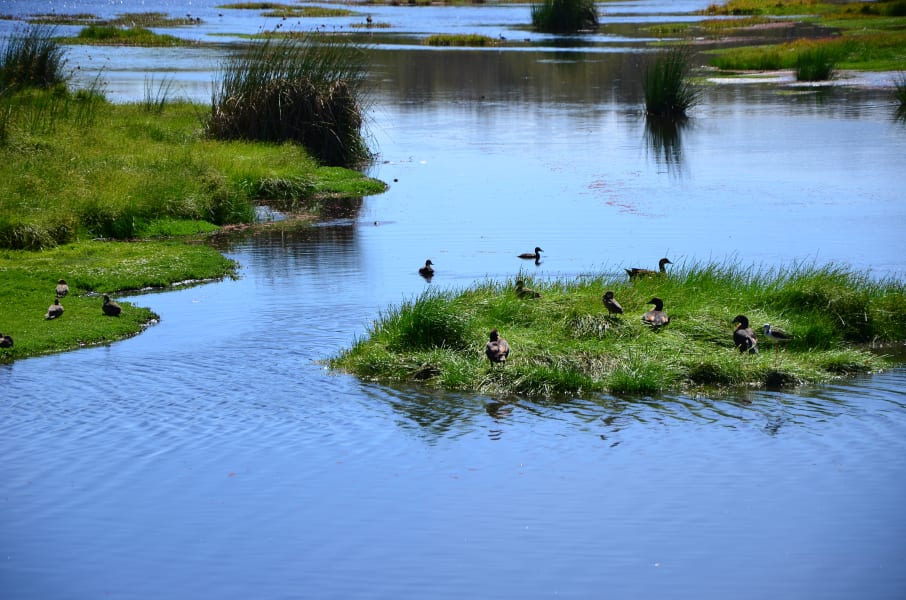 Вся Австралия с островами Фрейзер и Тасмания: 26 тыс км на авто (много фото)