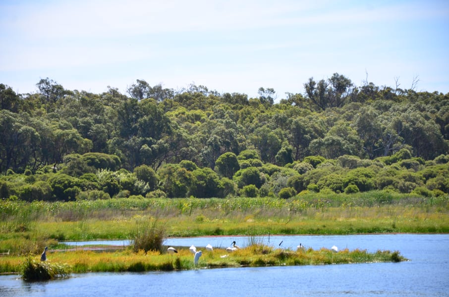 Вся Австралия с островами Фрейзер и Тасмания: 26 тыс км на авто (много фото)