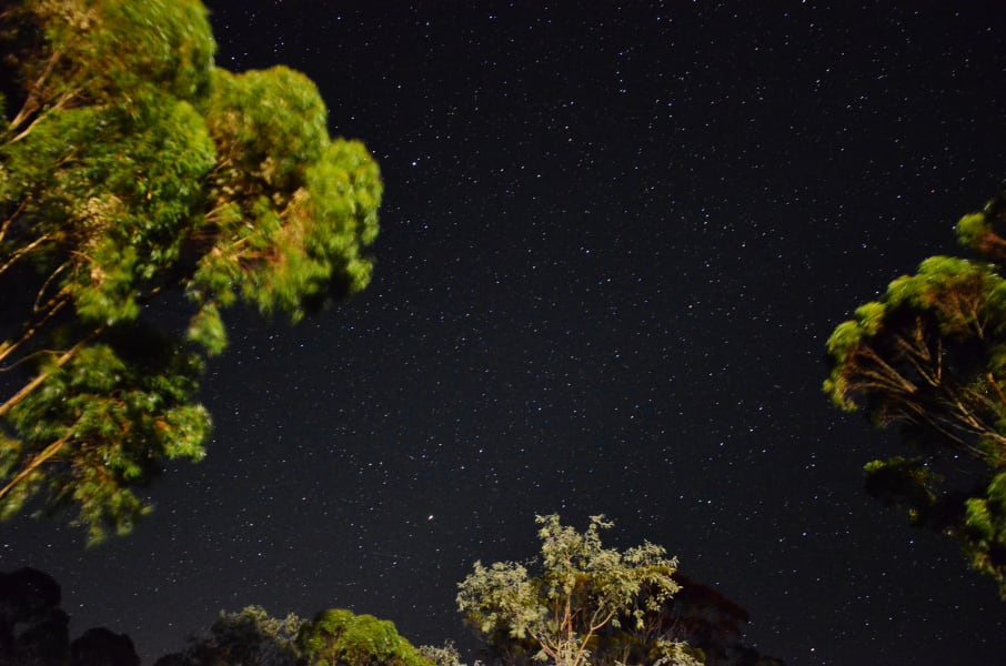 Вся Австралия с островами Фрейзер и Тасмания: 26 тыс км на авто (много фото)