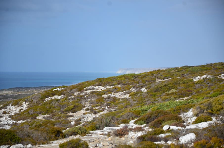 Вся Австралия с островами Фрейзер и Тасмания: 26 тыс км на авто (много фото)