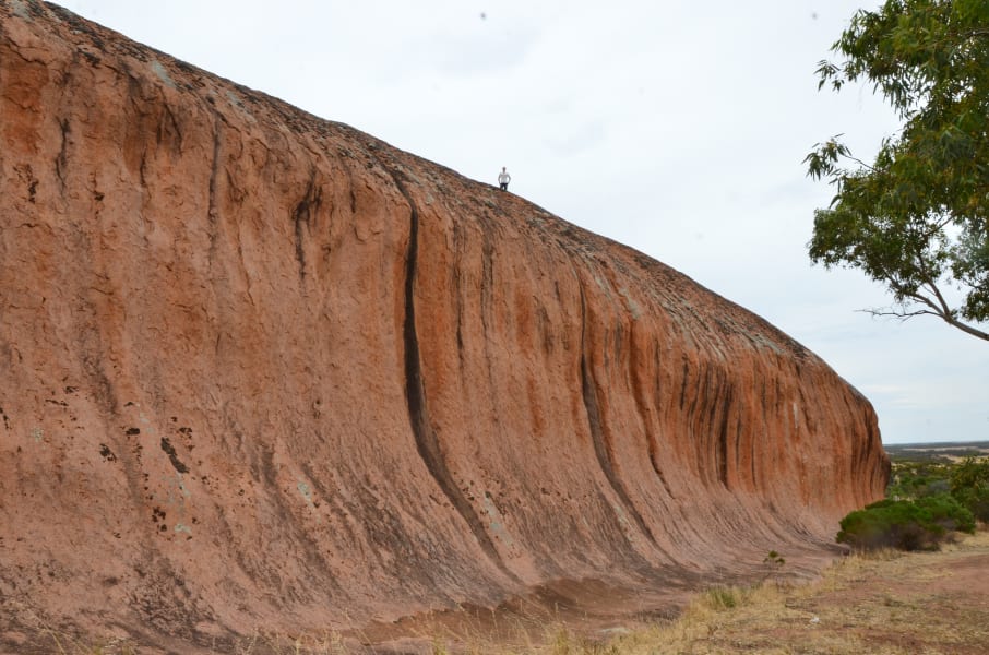 Вся Австралия с островами Фрейзер и Тасмания: 26 тыс км на авто (много фото)