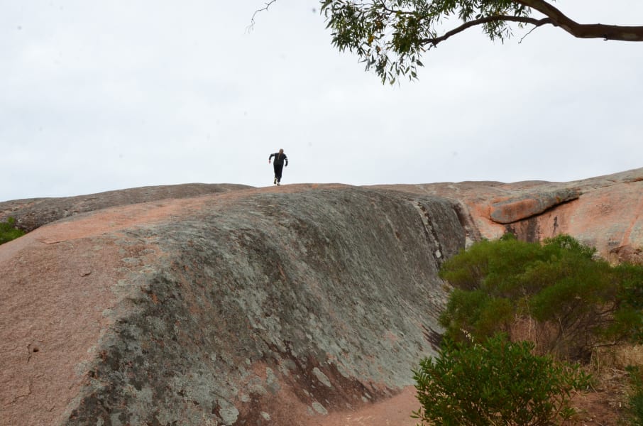 Вся Австралия с островами Фрейзер и Тасмания: 26 тыс км на авто (много фото)