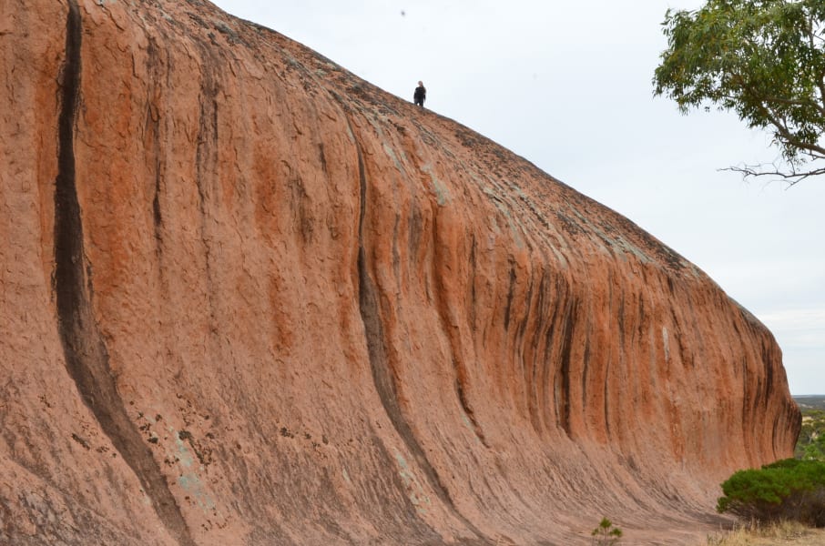 Вся Австралия с островами Фрейзер и Тасмания: 26 тыс км на авто (много фото)