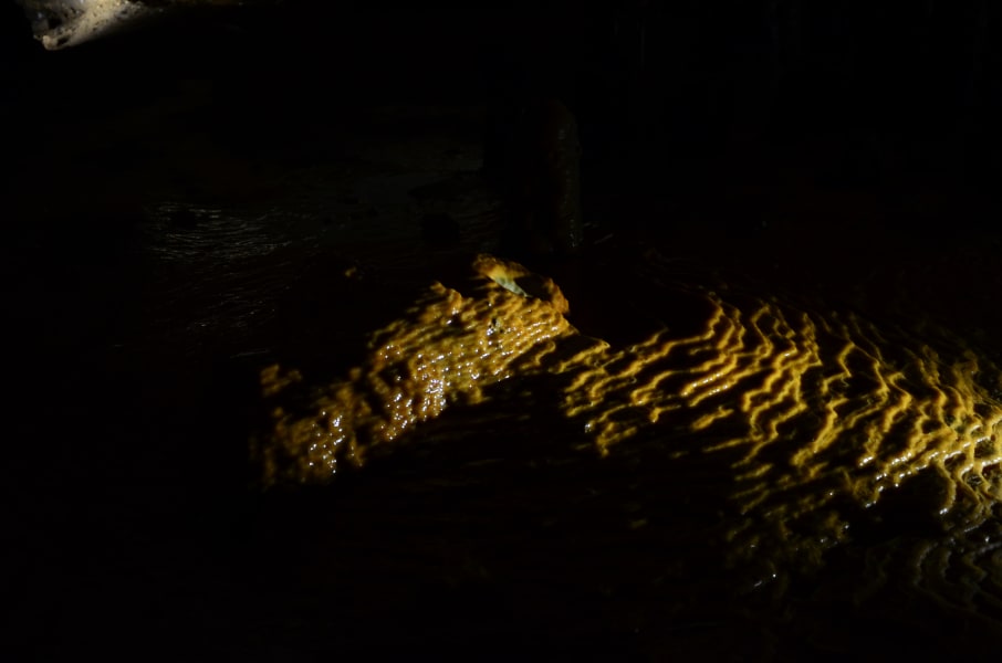 Вся Австралия с островами Фрейзер и Тасмания: 26 тыс км на авто (много фото)