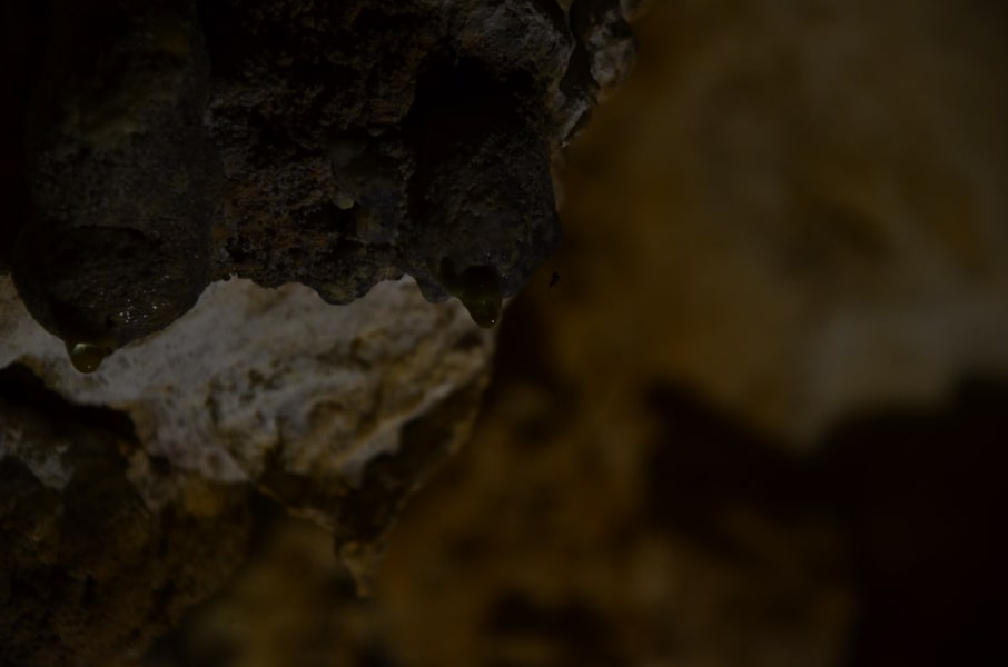 Вся Австралия с островами Фрейзер и Тасмания: 26 тыс км на авто (много фото)