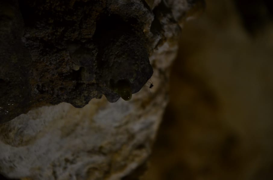 Вся Австралия с островами Фрейзер и Тасмания: 26 тыс км на авто (много фото)