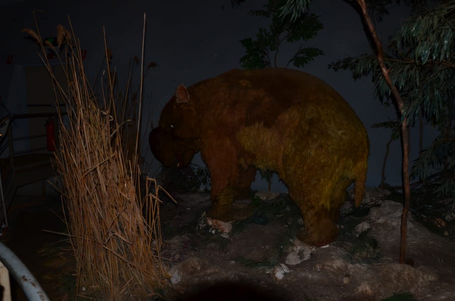 Вся Австралия с островами Фрейзер и Тасмания: 26 тыс км на авто (много фото)