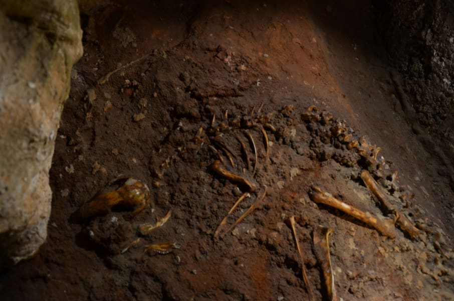 Вся Австралия с островами Фрейзер и Тасмания: 26 тыс км на авто (много фото)