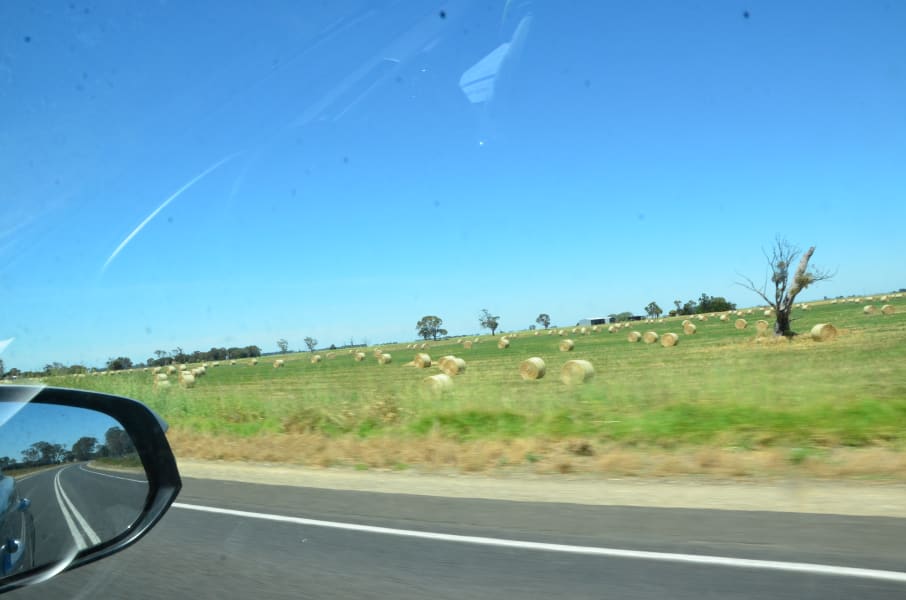 Вся Австралия с островами Фрейзер и Тасмания: 26 тыс км на авто (много фото)