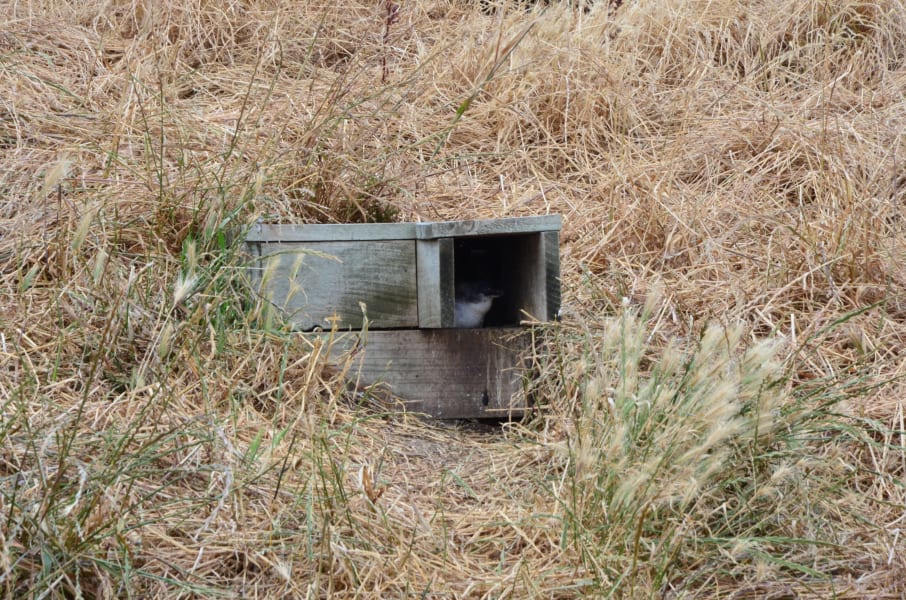 Вся Австралия с островами Фрейзер и Тасмания: 26 тыс км на авто (много фото)