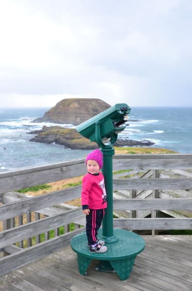 Вся Австралия с островами Фрейзер и Тасмания: 26 тыс км на авто (много фото)