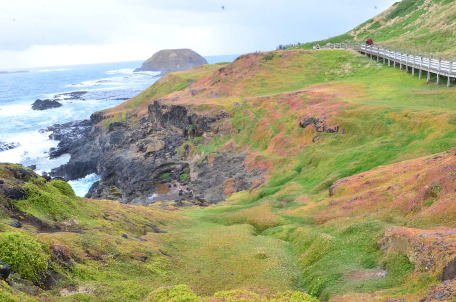 Вся Австралия с островами Фрейзер и Тасмания: 26 тыс км на авто (много фото)