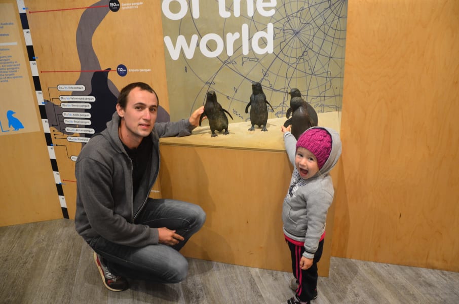 Вся Австралия с островами Фрейзер и Тасмания: 26 тыс км на авто (много фото)