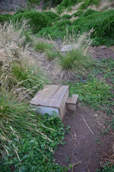 Вся Австралия с островами Фрейзер и Тасмания: 26 тыс км на авто (много фото)