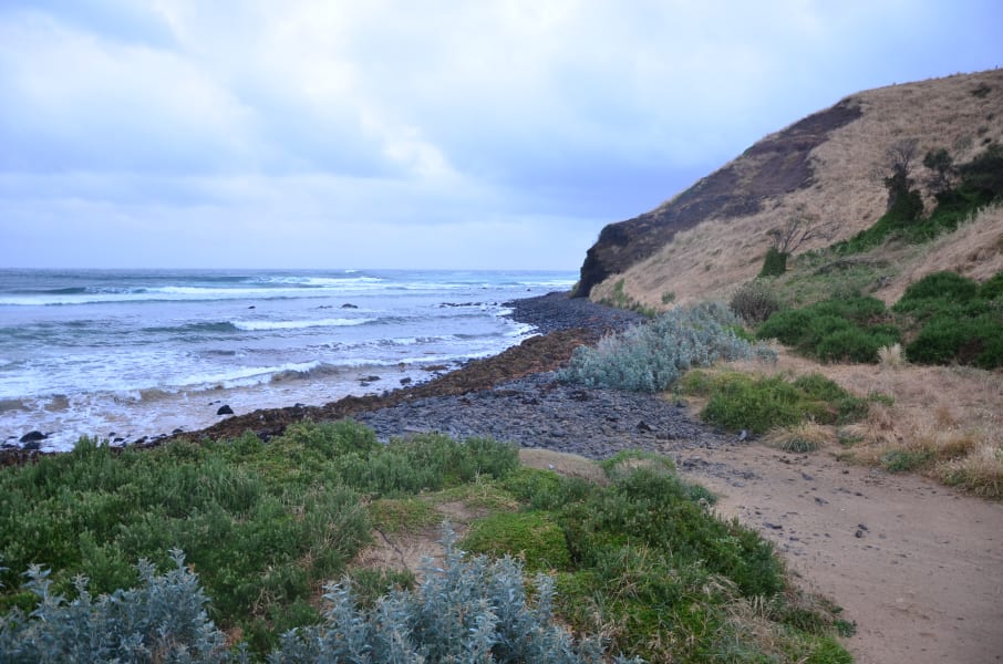 Вся Австралия с островами Фрейзер и Тасмания: 26 тыс км на авто (много фото)