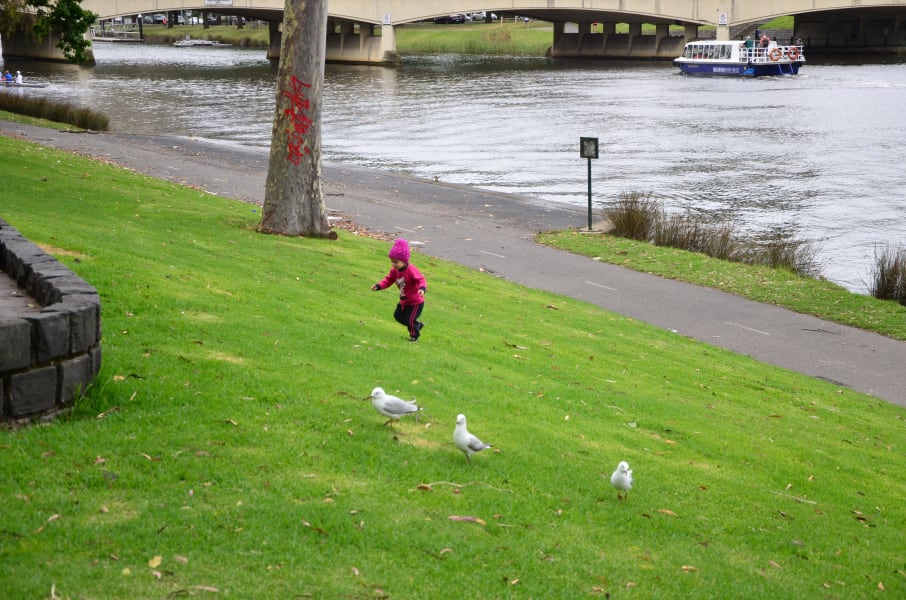 Вся Австралия с островами Фрейзер и Тасмания: 26 тыс км на авто (много фото)