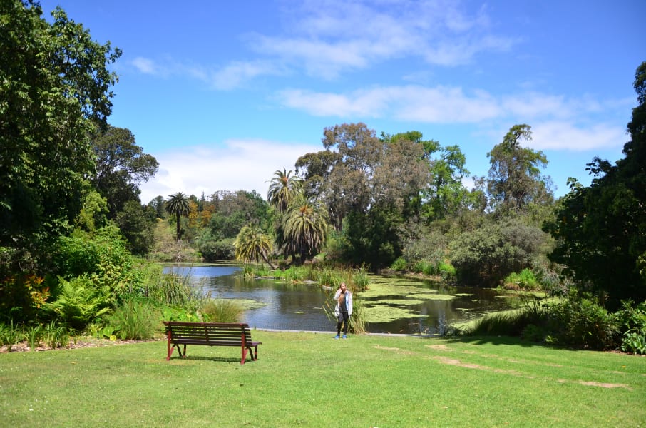 Вся Австралия с островами Фрейзер и Тасмания: 26 тыс км на авто (много фото)