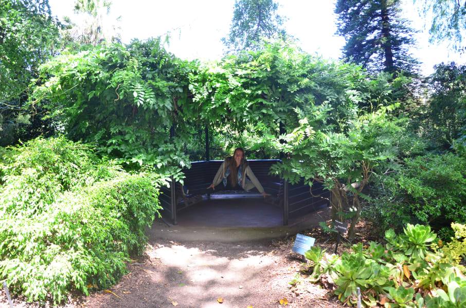 Вся Австралия с островами Фрейзер и Тасмания: 26 тыс км на авто (много фото)