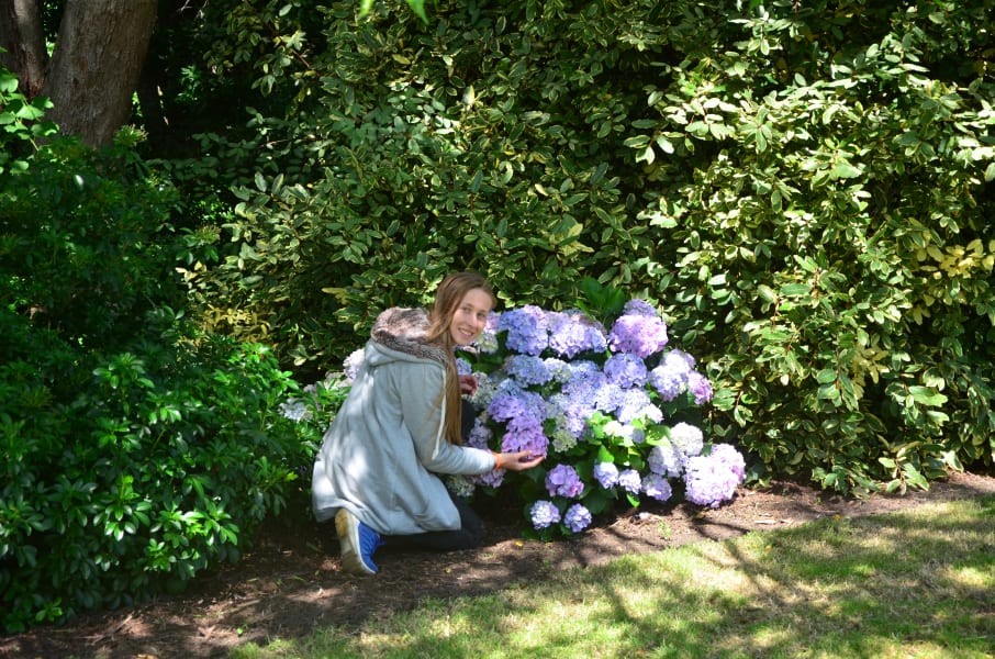 Вся Австралия с островами Фрейзер и Тасмания: 26 тыс км на авто (много фото)