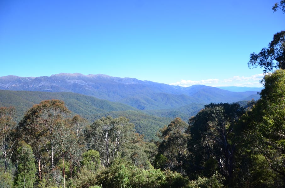 Вся Австралия с островами Фрейзер и Тасмания: 26 тыс км на авто (много фото)