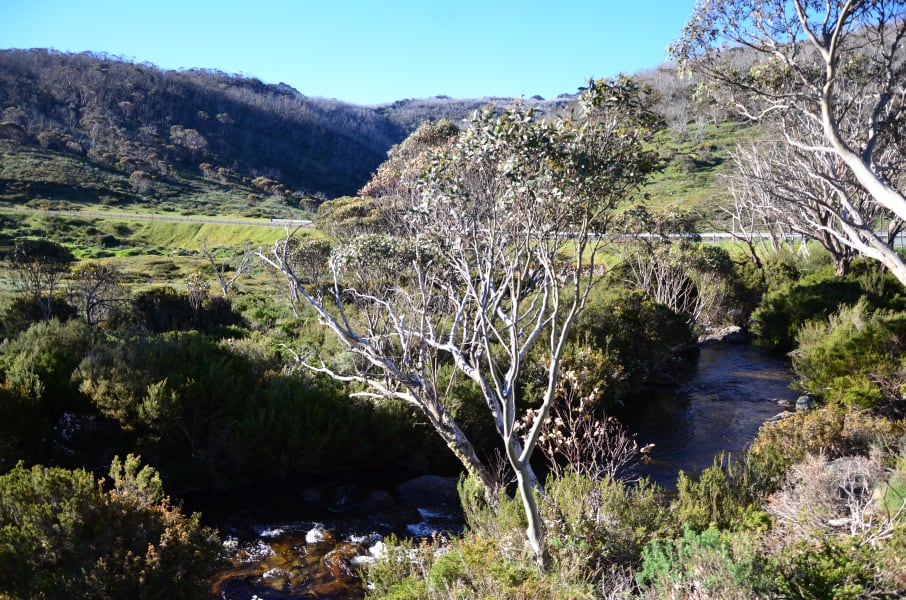 Вся Австралия с островами Фрейзер и Тасмания: 26 тыс км на авто (много фото)