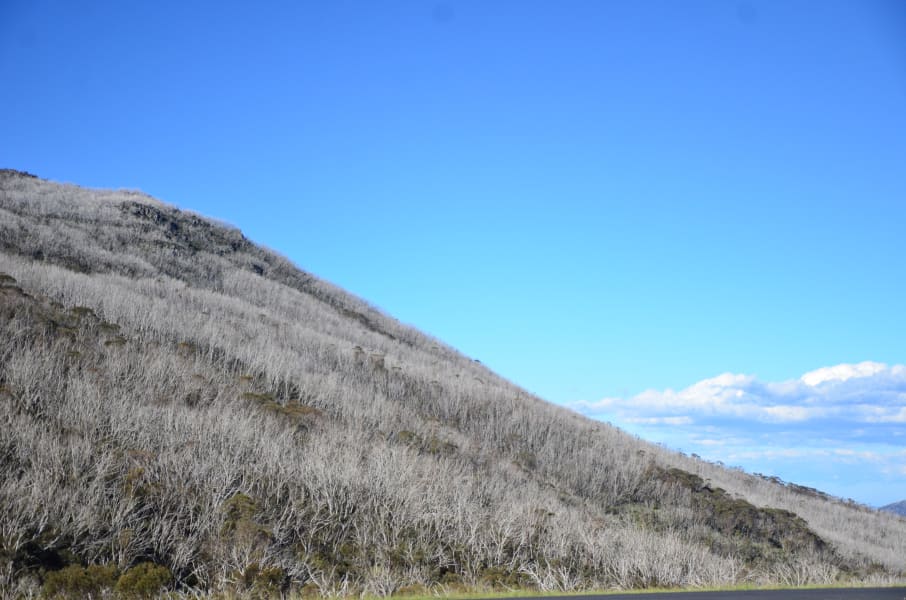 Вся Австралия с островами Фрейзер и Тасмания: 26 тыс км на авто (много фото)