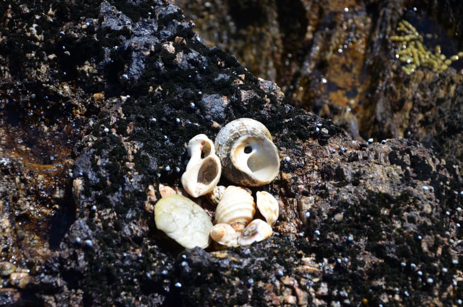 Вся Австралия с островами Фрейзер и Тасмания: 26 тыс км на авто (много фото)