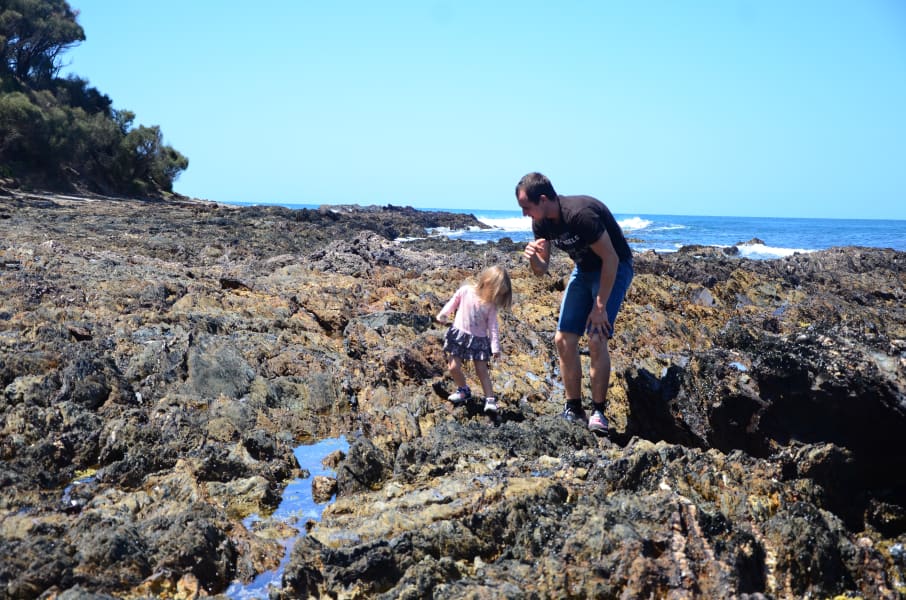 Вся Австралия с островами Фрейзер и Тасмания: 26 тыс км на авто (много фото)