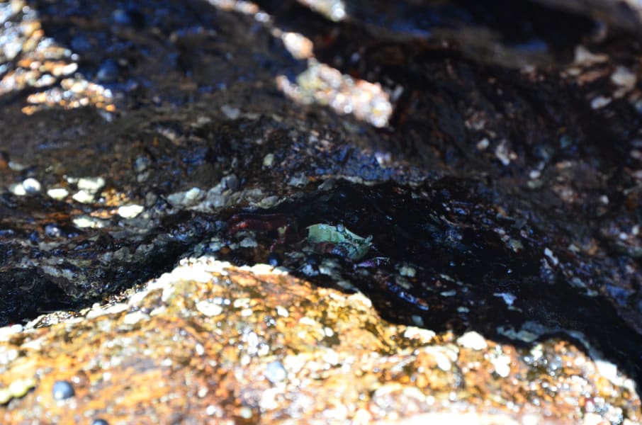 Вся Австралия с островами Фрейзер и Тасмания: 26 тыс км на авто (много фото)