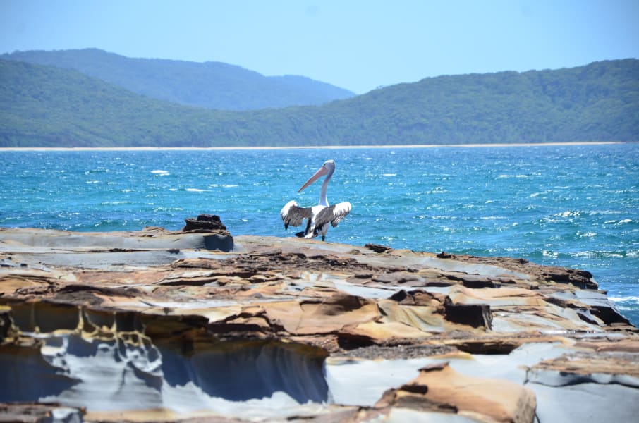 Вся Австралия с островами Фрейзер и Тасмания: 26 тыс км на авто (много фото)