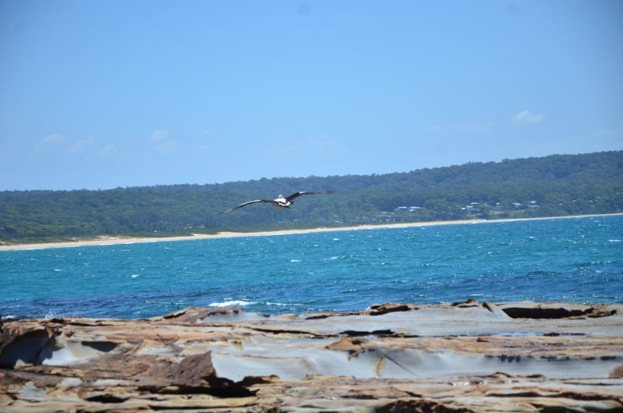 Вся Австралия с островами Фрейзер и Тасмания: 26 тыс км на авто (много фото)