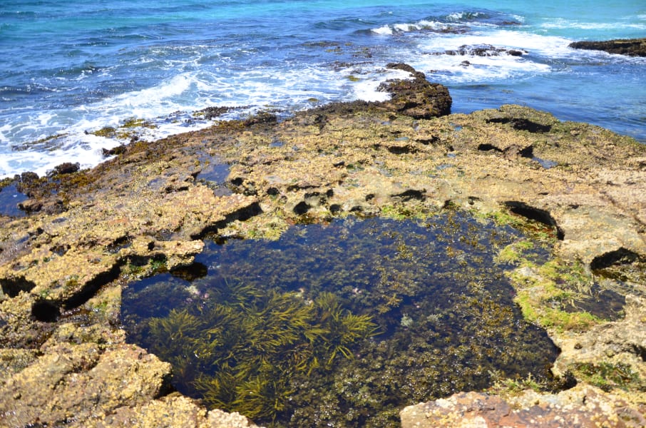Вся Австралия с островами Фрейзер и Тасмания: 26 тыс км на авто (много фото)
