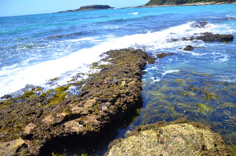 Вся Австралия с островами Фрейзер и Тасмания: 26 тыс км на авто (много фото)