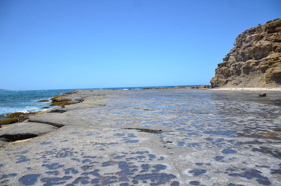 Вся Австралия с островами Фрейзер и Тасмания: 26 тыс км на авто (много фото)