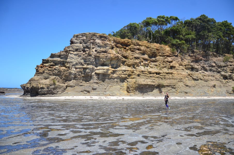 Вся Австралия с островами Фрейзер и Тасмания: 26 тыс км на авто (много фото)