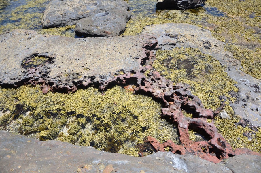 Вся Австралия с островами Фрейзер и Тасмания: 26 тыс км на авто (много фото)