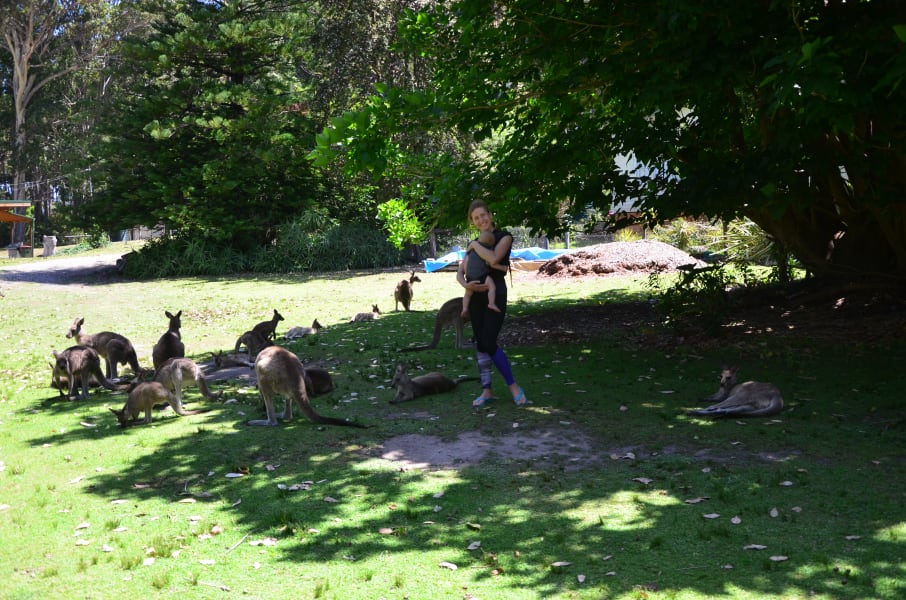 Вся Австралия с островами Фрейзер и Тасмания: 26 тыс км на авто (много фото)