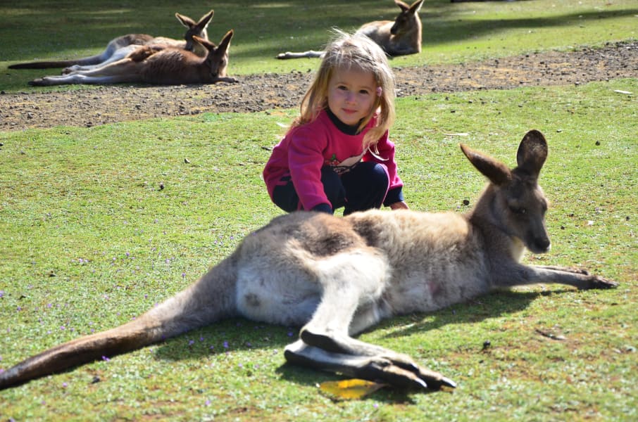 Вся Австралия с островами Фрейзер и Тасмания: 26 тыс км на авто (много фото)