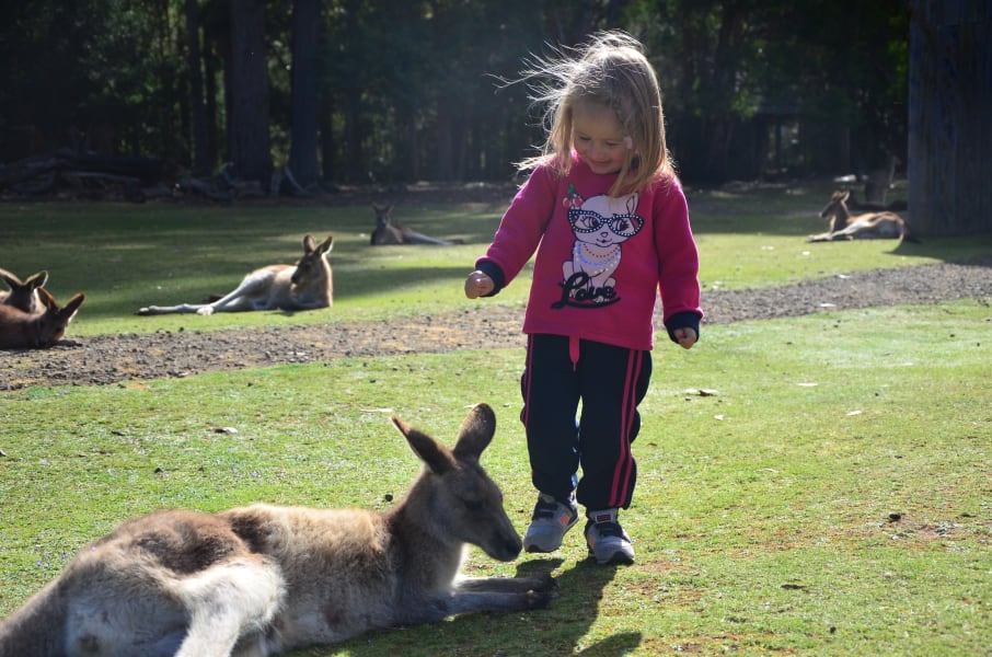 Вся Австралия с островами Фрейзер и Тасмания: 26 тыс км на авто (много фото)