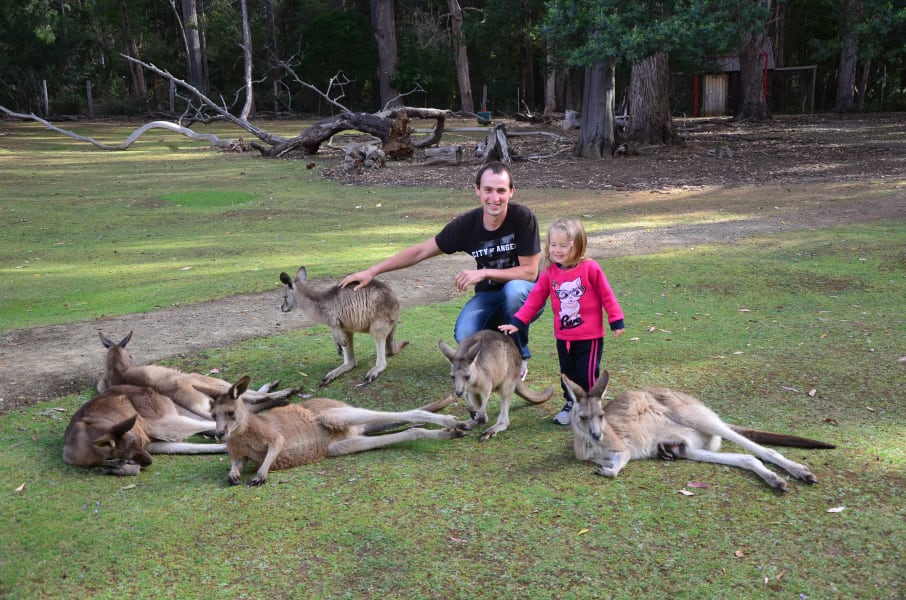 Вся Австралия с островами Фрейзер и Тасмания: 26 тыс км на авто (много фото)