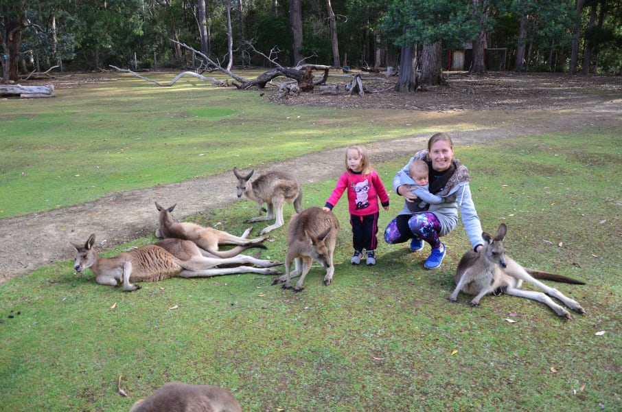 Вся Австралия с островами Фрейзер и Тасмания: 26 тыс км на авто (много фото)