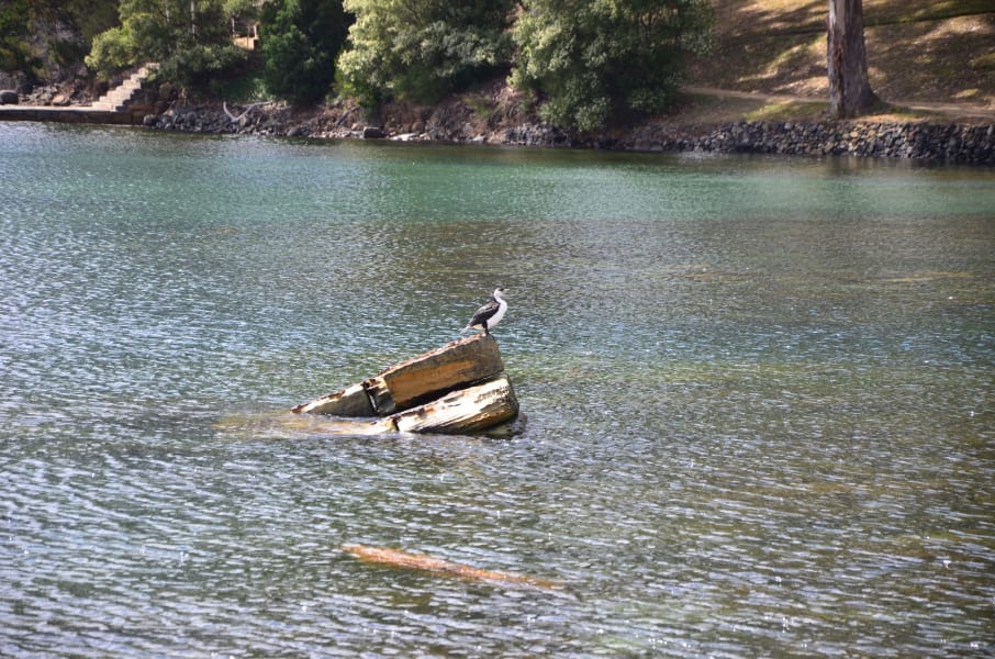 Вся Австралия с островами Фрейзер и Тасмания: 26 тыс км на авто (много фото)