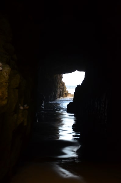 Вся Австралия с островами Фрейзер и Тасмания: 26 тыс км на авто (много фото)