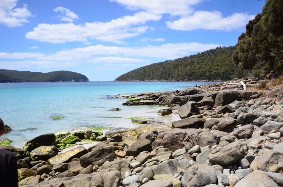 Вся Австралия с островами Фрейзер и Тасмания: 26 тыс км на авто (много фото)