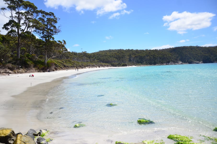 Вся Австралия с островами Фрейзер и Тасмания: 26 тыс км на авто (много фото)