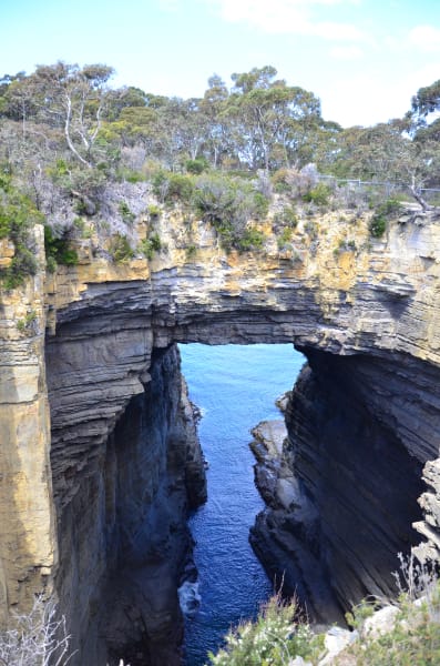 Вся Австралия с островами Фрейзер и Тасмания: 26 тыс км на авто (много фото)