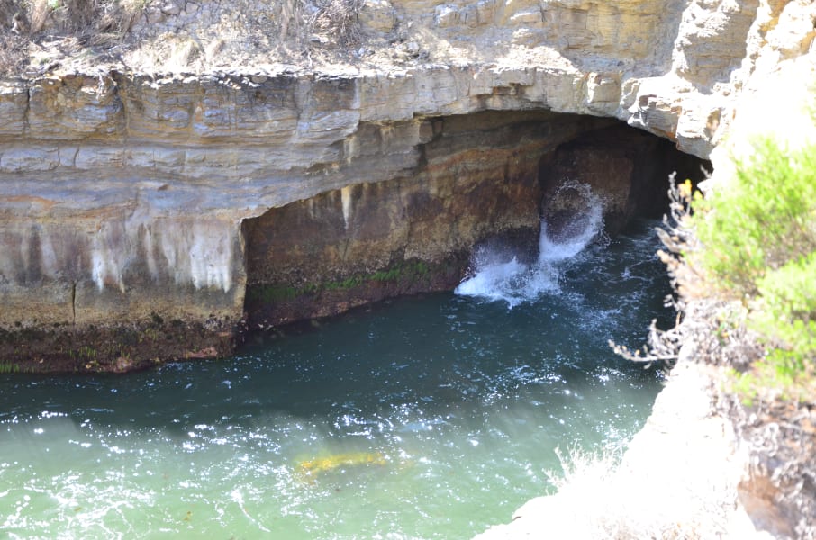 Вся Австралия с островами Фрейзер и Тасмания: 26 тыс км на авто (много фото)